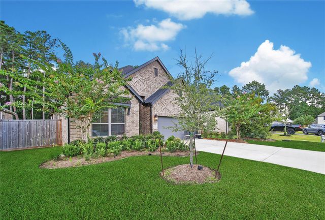 124 Alder Wood Terrace Court, Conroe, TX 77318