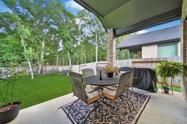124 Alder Wood Terrace Court, Conroe, TX 77318