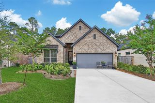 124 Alder Wood Terrace Court, Conroe, TX 77318