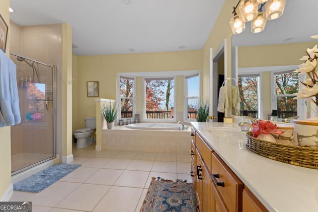 79 Alex Mountain, Sky Valley, GA 30537