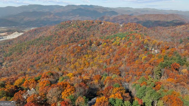 79 Alex Mountain, Sky Valley, GA 30537