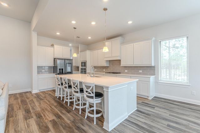 10 Fringetree Bark Court, The Woodlands, TX 77375