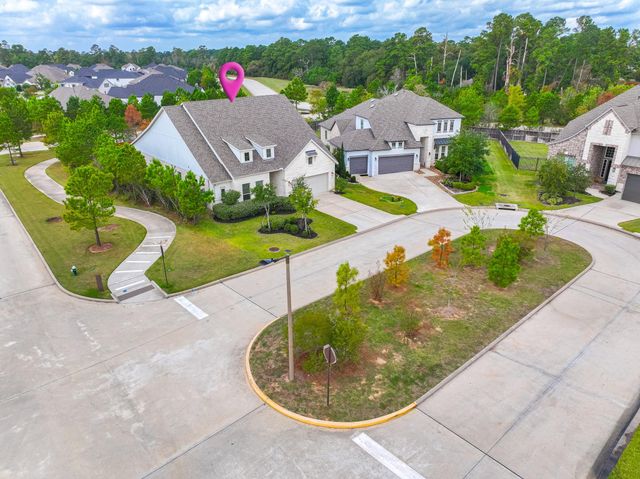 10 Fringetree Bark Court, The Woodlands, TX 77375