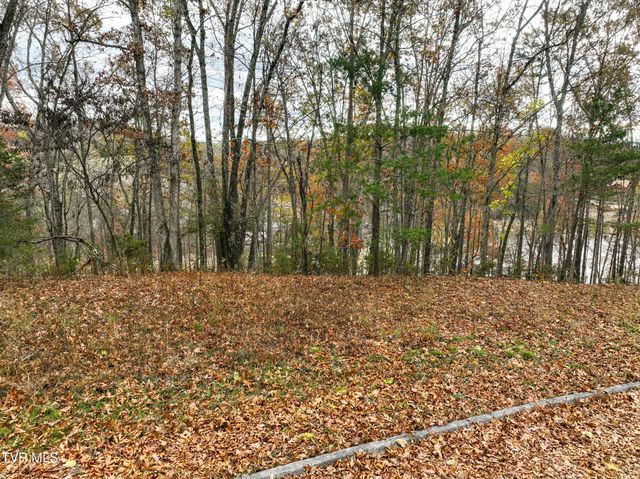 121 Pointe Drive, Piney Flats, TN 37686