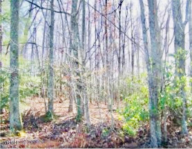 121 Pointe Drive, Piney Flats, TN 37686