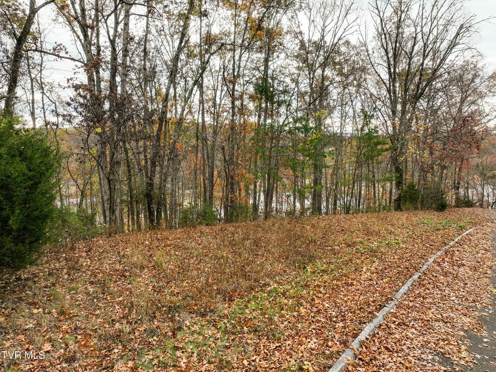 121 Pointe Drive, Piney Flats, TN 37686