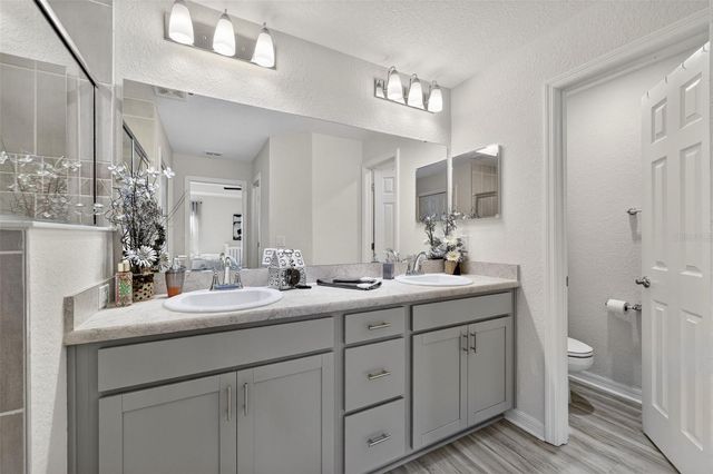 12322 TERRACE BLUFF STREET, Riverview, FL 33579