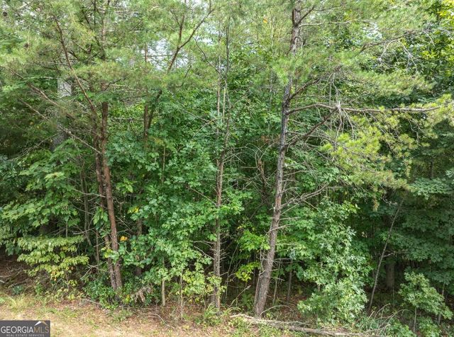 24 Brookhaven Drive, Young Harris, GA 30582