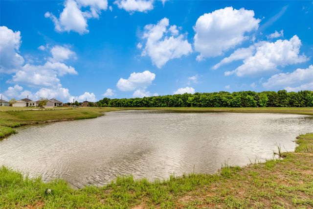 1442 Mesquite Lane, Princeton, TX 75407