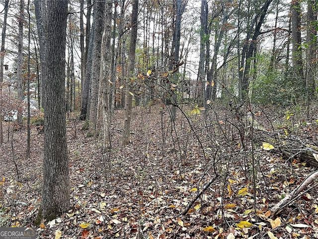 667 B Avery Road, Canton, GA 30115