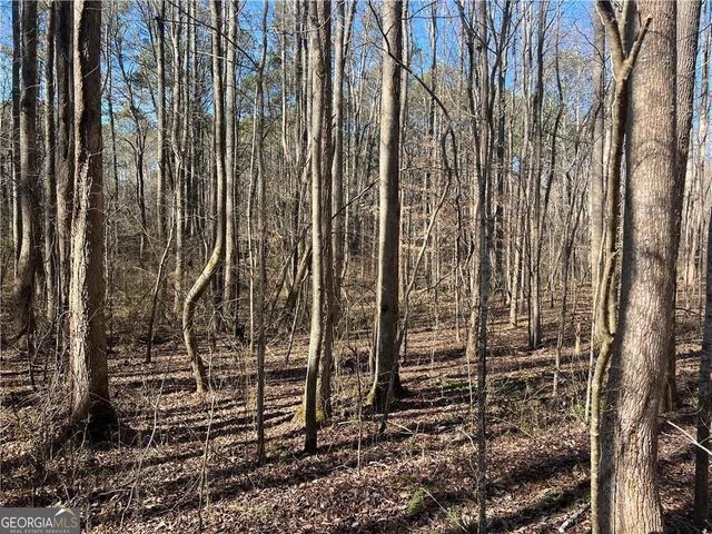 667 B Avery Road, Canton, GA 30115