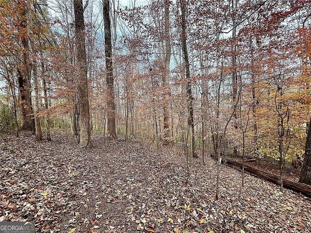 667 B Avery Road, Canton, GA 30115