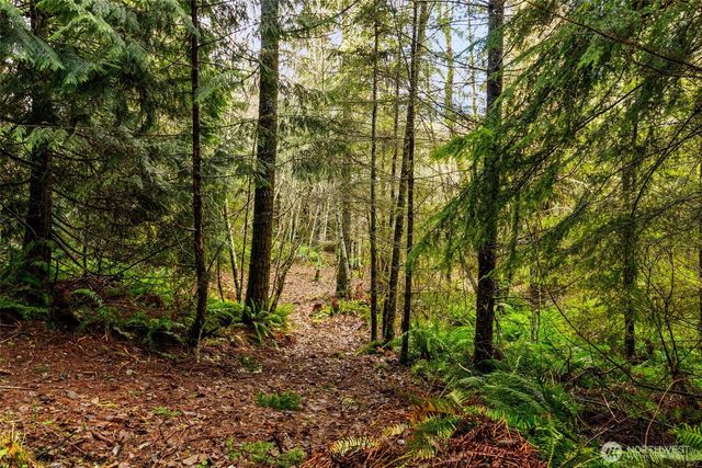 7002 Nanitch Lane SE, Tenino, WA 98589
