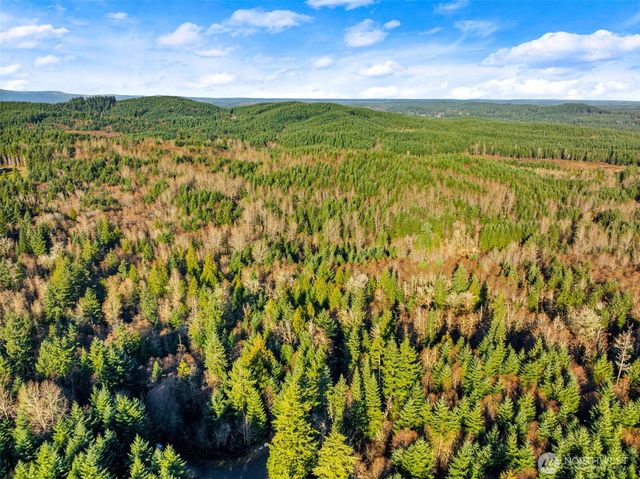 7002 Nanitch Lane SE, Tenino, WA 98589