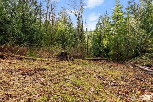 7002 Nanitch Lane SE, Tenino, WA 98589