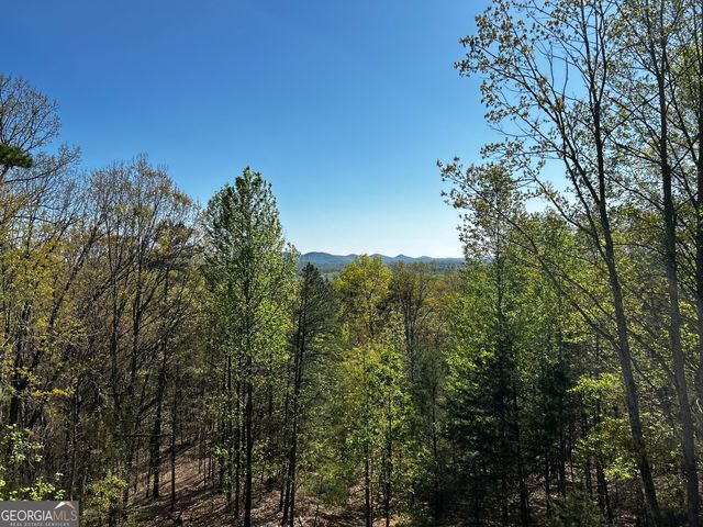 406 Yonah Mountain Road, Cleveland, GA 30528
