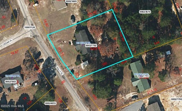 113 Holly Place, West End, NC 27376