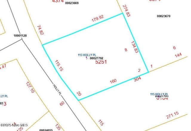 113 Holly Place, West End, NC 27376