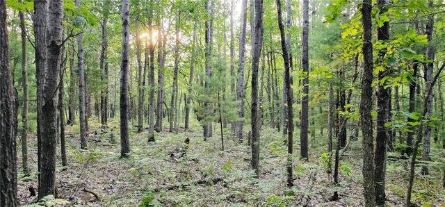 00 W Bauer Road, Black River Falls, WI 54615