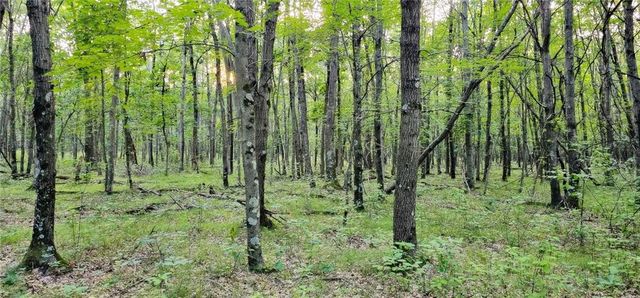 00 W Bauer Road, Black River Falls, WI 54615