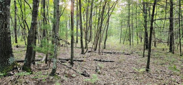 00 W Bauer Road, Black River Falls, WI 54615