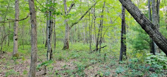 00 W Bauer Road, Black River Falls, WI 54615