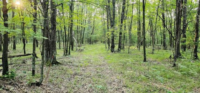 00 W Bauer Road, Black River Falls, WI 54615