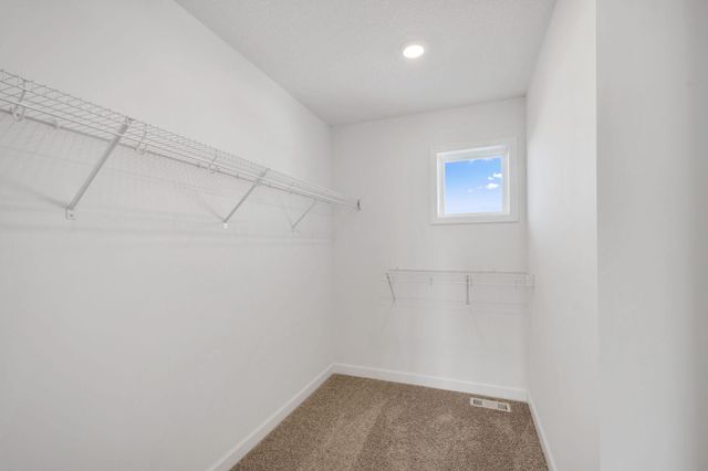 9935 49th Street NE, Saint Michael, MN 55376