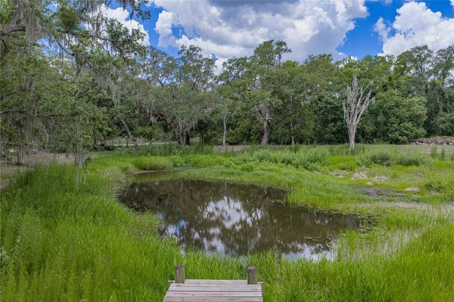 13031 BELLAMY BROTHERS BOULEVARD, Dade City, FL 33525