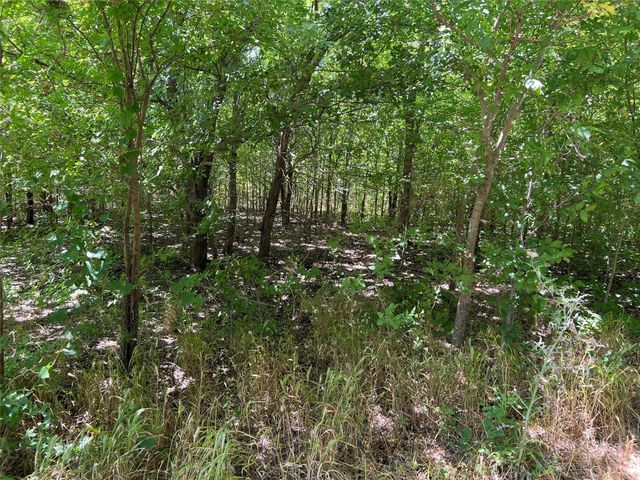 22 AC Bethel Cannon, Whitewright, TX 75491