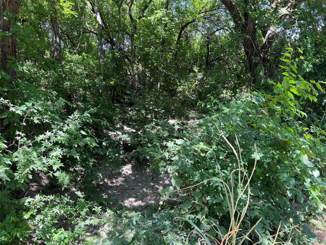 22 AC Bethel Cannon, Whitewright, TX 75491