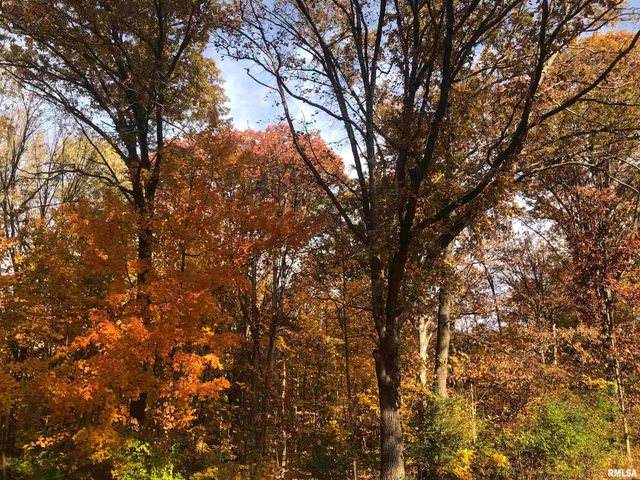 2318 E LAKE SHORE Drive, Springfield, IL 62712