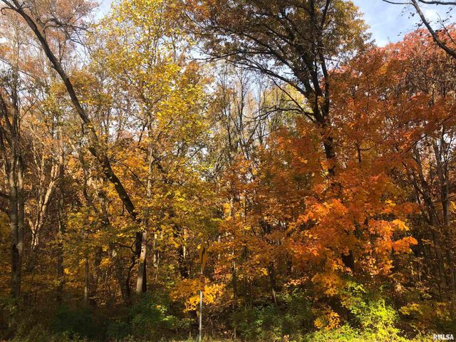 2318 E LAKE SHORE Drive, Springfield, IL 62712