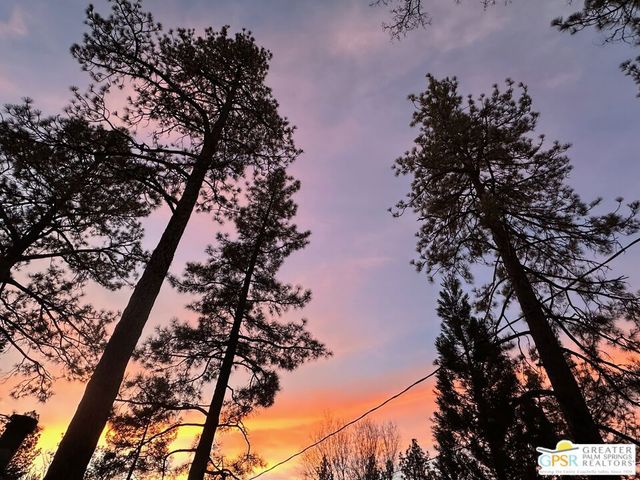 59302 Donna Mae Place, Mountain Center, CA 92561