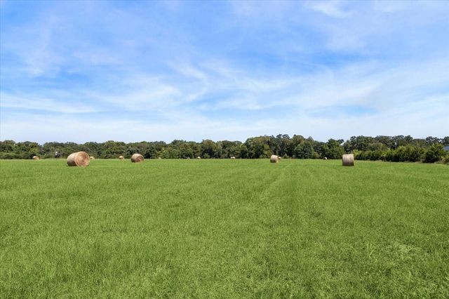 1 Kuntz Cemetery Road, Pattison, TX 77423