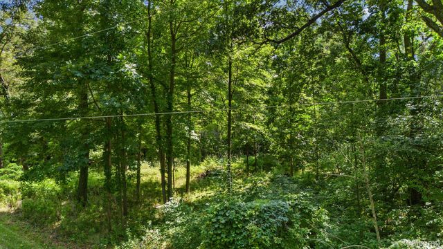 00001 LEDGEWOOD Drive, Tyrone Township, MI 48430