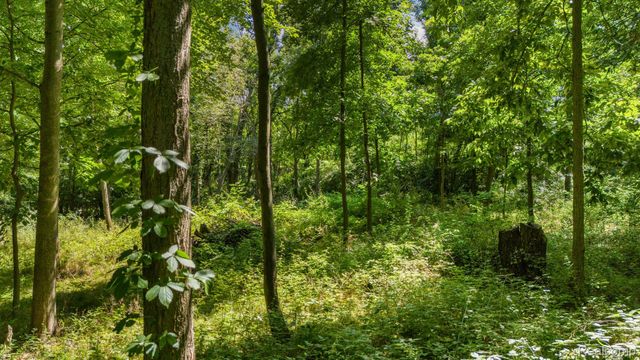 00001 LEDGEWOOD Drive, Tyrone Township, MI 48430