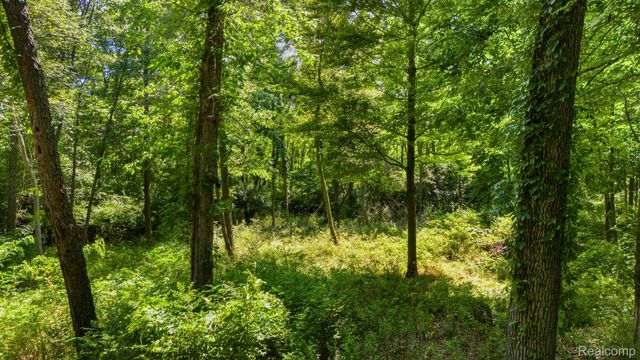 00001 LEDGEWOOD Drive, Tyrone Township, MI 48430