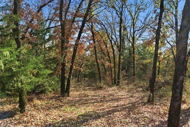 114 Bear Cat Court, Alvord, TX 76225