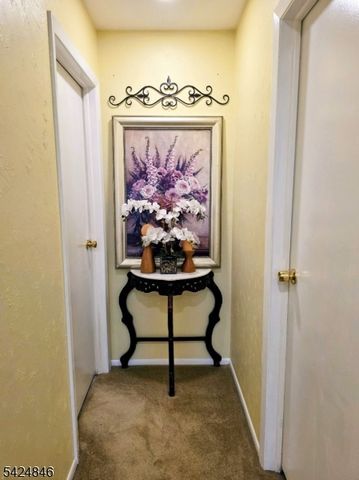 258 N Gaston Ave, Somerville Boro, NJ 08876