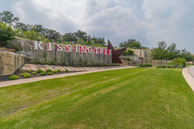 104 Balinese CV 101, San Marcos, TX 78666
