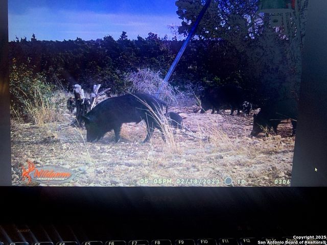 00 PR, Rocksprings, TX 78880