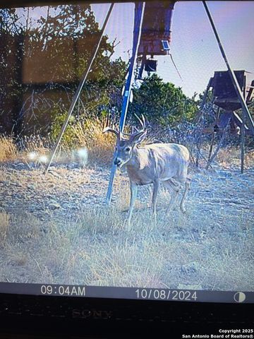 00 PR, Rocksprings, TX 78880