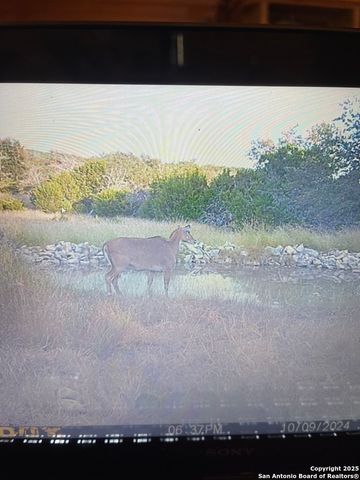 00 PR, Rocksprings, TX 78880