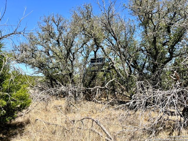 00 PR, Rocksprings, TX 78880