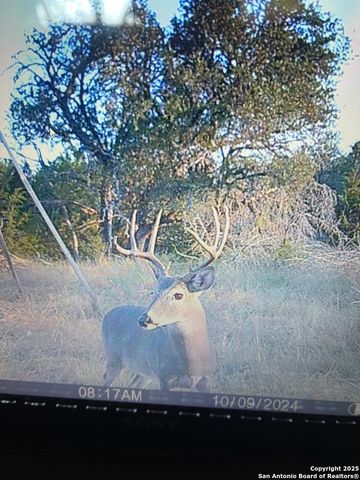 00 PR, Rocksprings, TX 78880