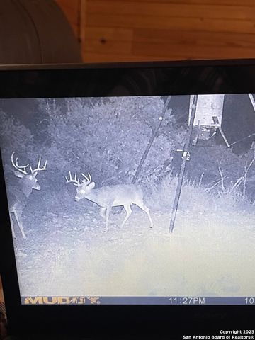 00 PR, Rocksprings, TX 78880