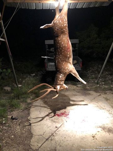 00 PR, Rocksprings, TX 78880