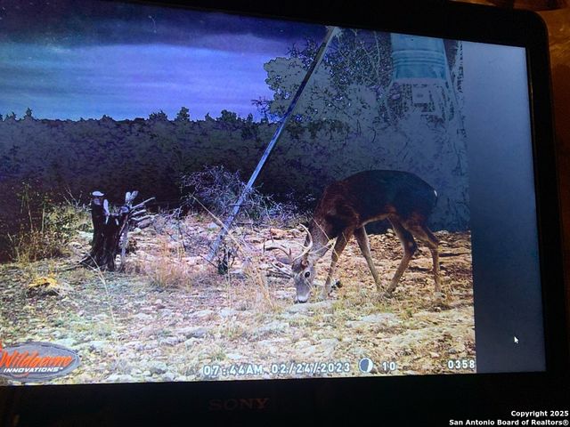 00 PR, Rocksprings, TX 78880