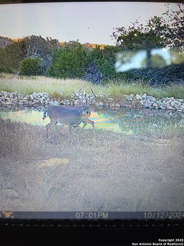 00 PR, Rocksprings, TX 78880